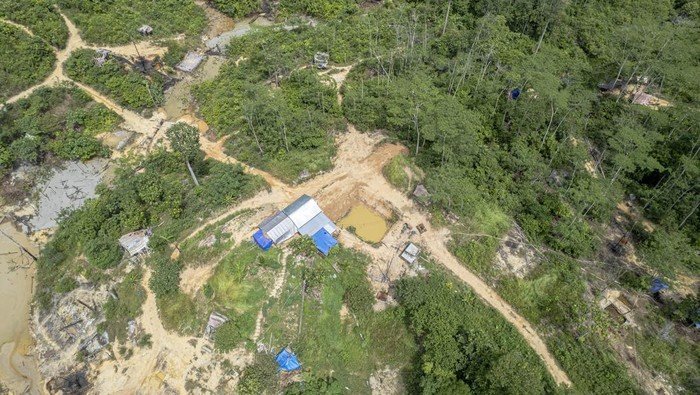 ratusan-sumur-minyak-ilegal-kepung-hutan-harapan-ekosistem-terancam-1764240885786_169